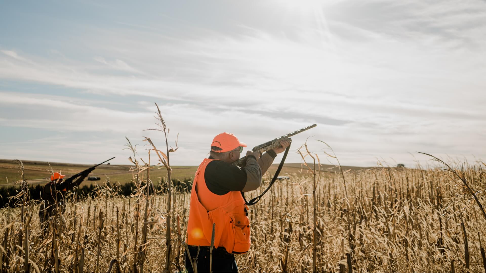Why Pheasant Hunts Are Great Team Building Experiences