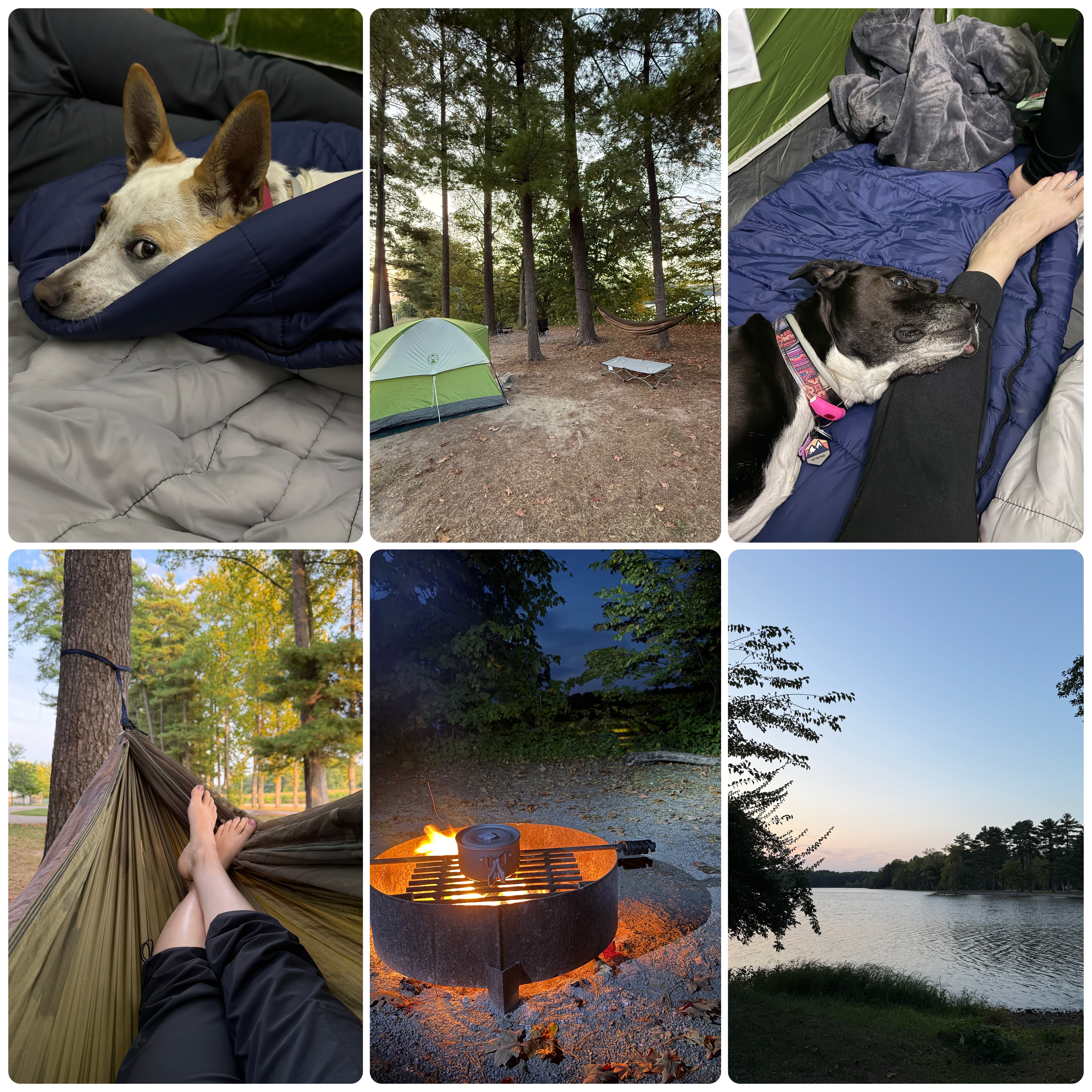 Camping