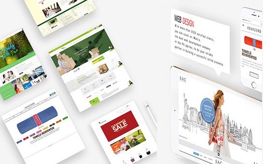 Essential Website + SEO