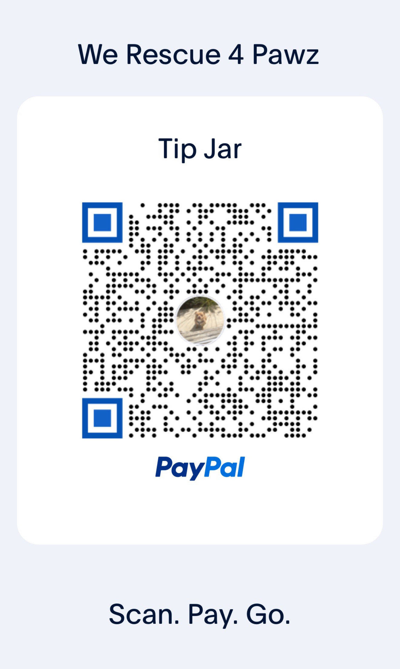 PayPal QR