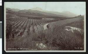 Historic orange packing house and railway depot in Highland, California, early 1900s