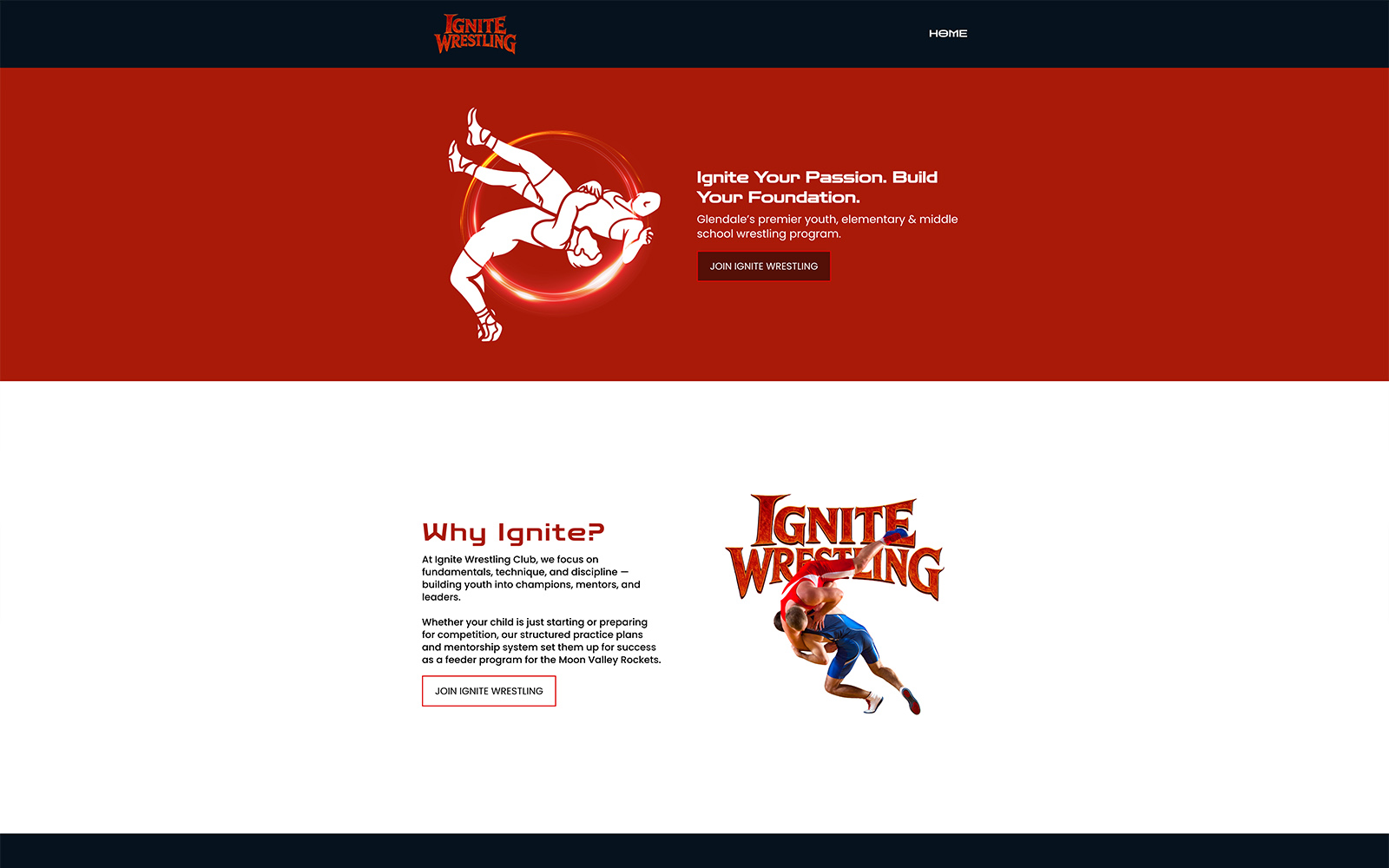 Website example 4