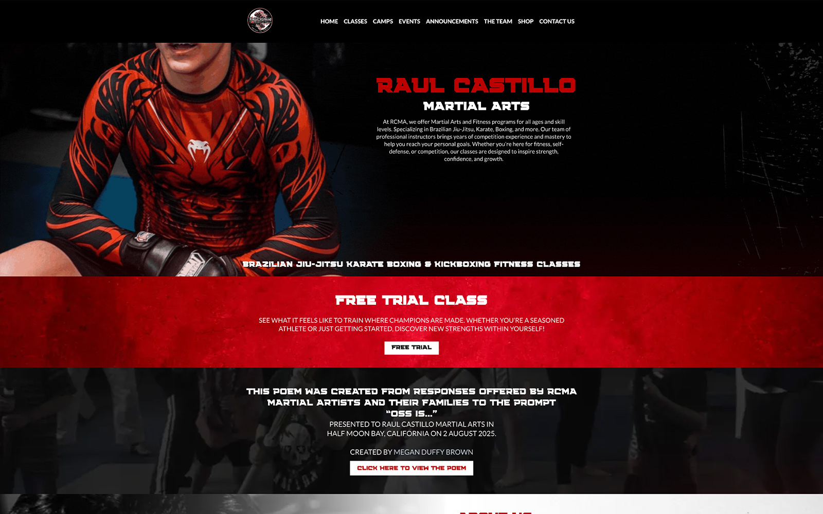 Website example 5