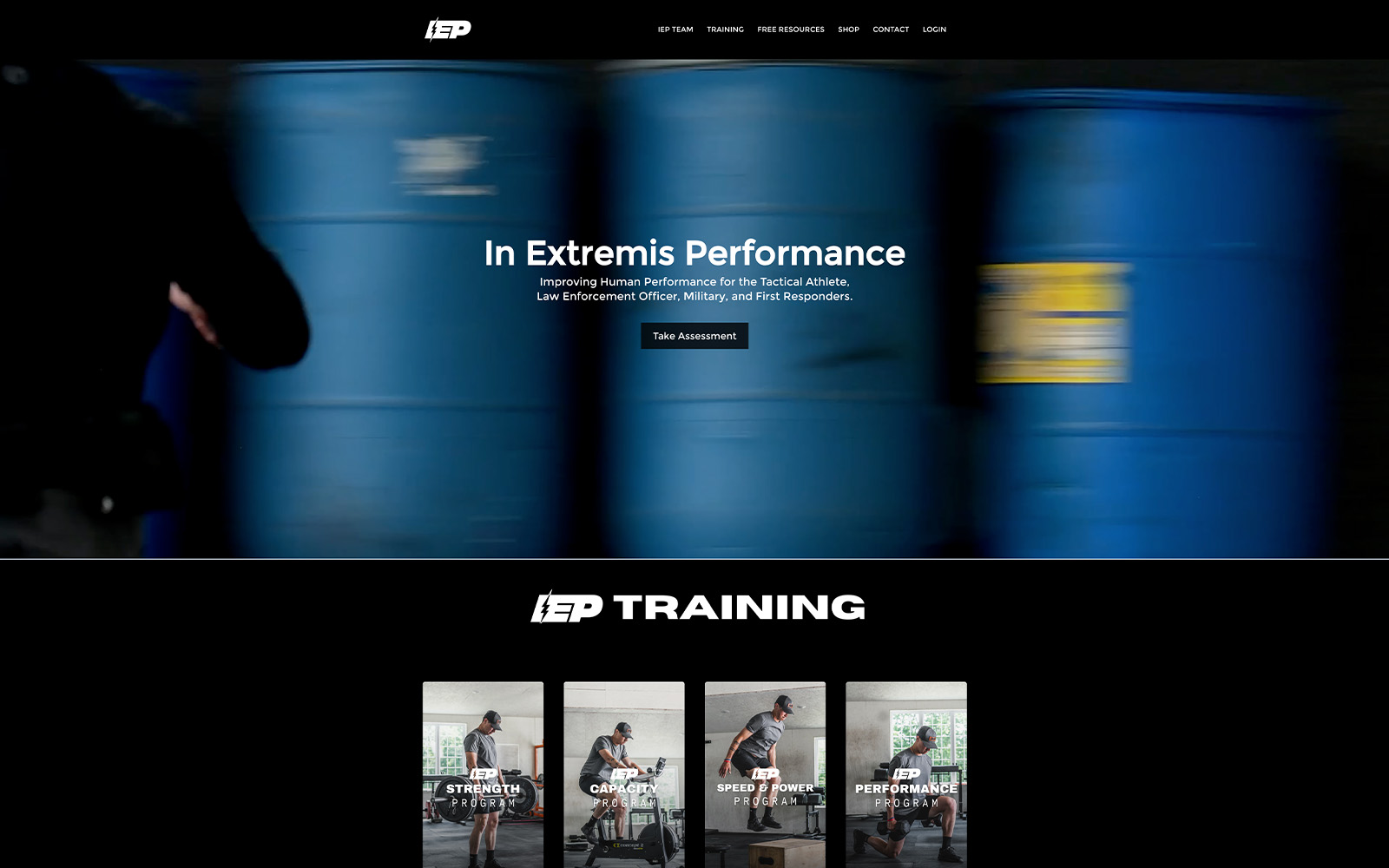 Website example 1
