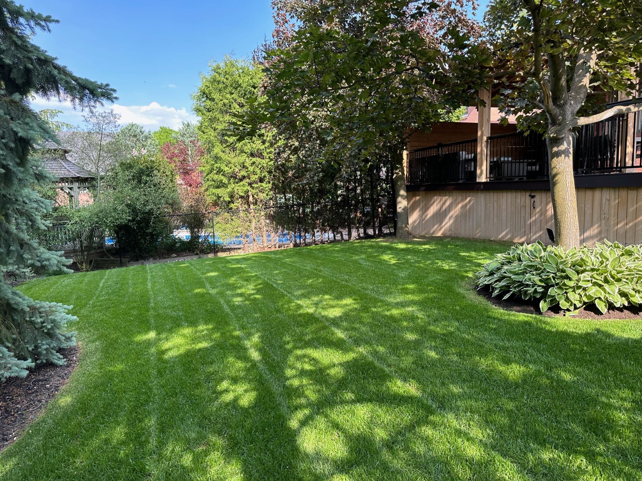 Vibrant Lawns, Expert Care