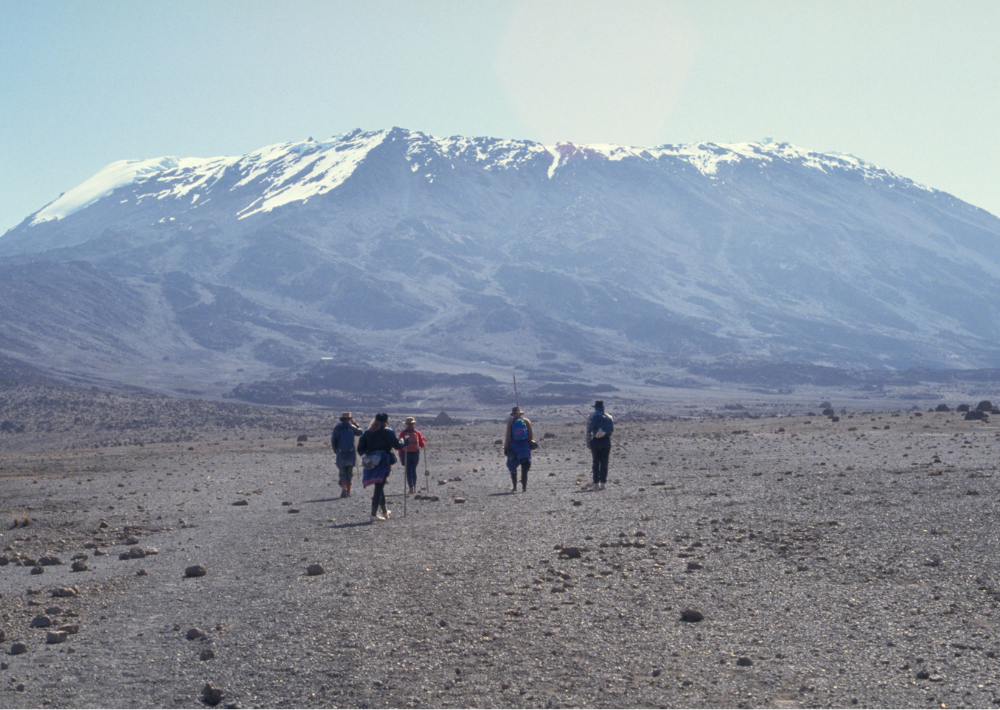 kilimanjaro snow trek