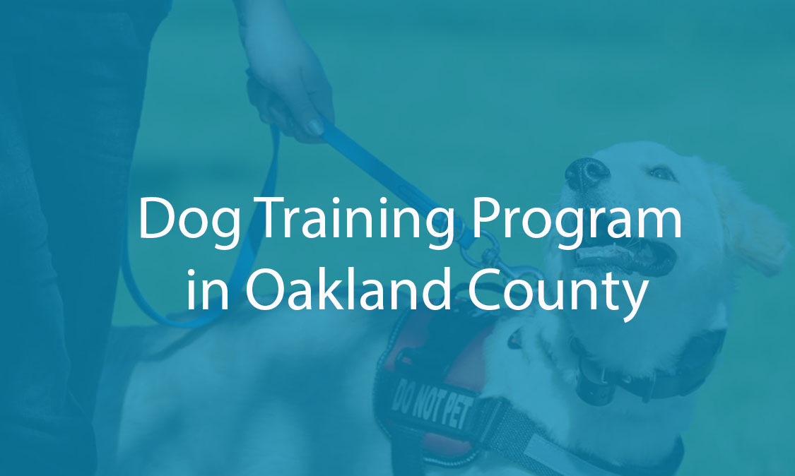Troy Dog Training: Puppy Class Socialization Training