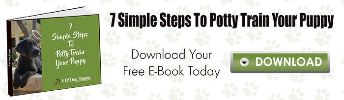 FREE Puppy Potty Training Download