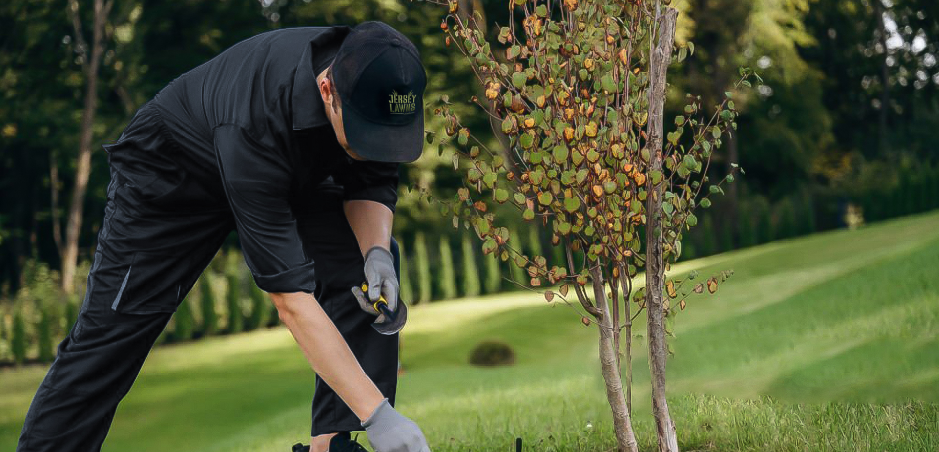 veteran owned business veteran owned business