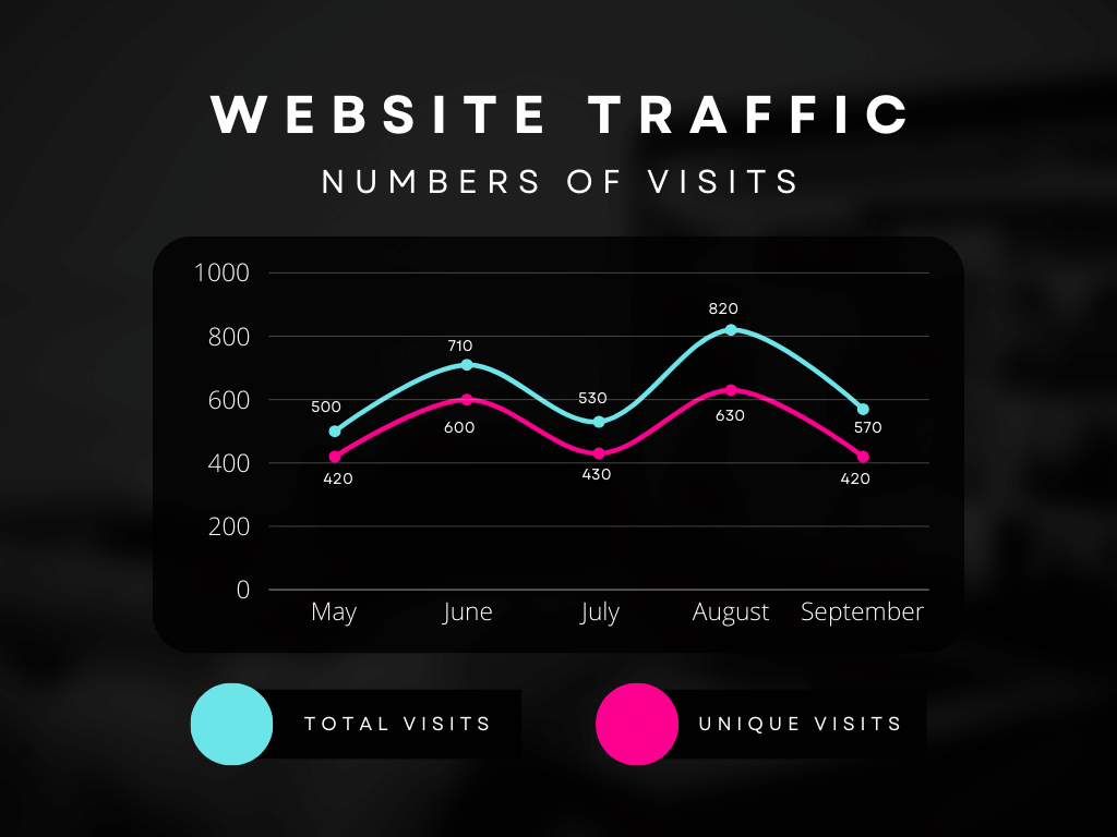 Website Traffic Graph Website Traffic Graph