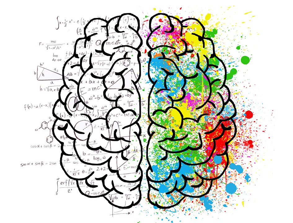 L'approche Émotivo-rationnelle : Comprendre la psychologie des émotions