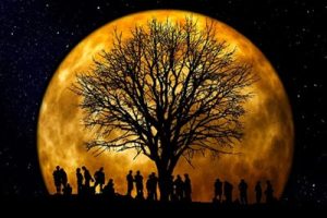 10 Benefits of Family Constellation Therapy