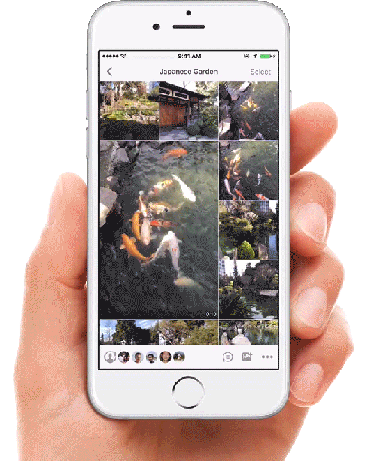 App in hand