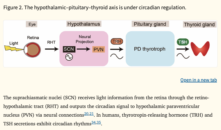Pubmed Pubmed