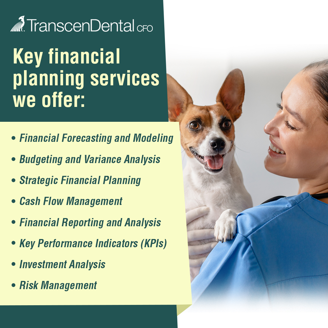 fractional CFO fractional CFO