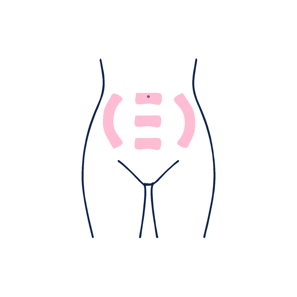 Stomach