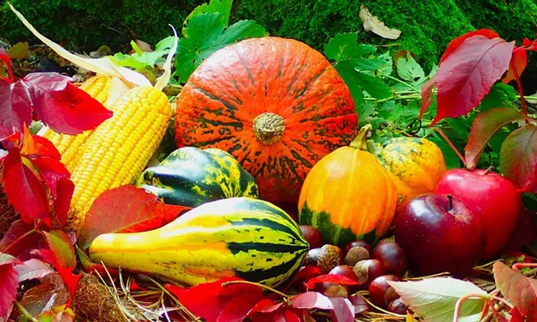 Fresh produce
