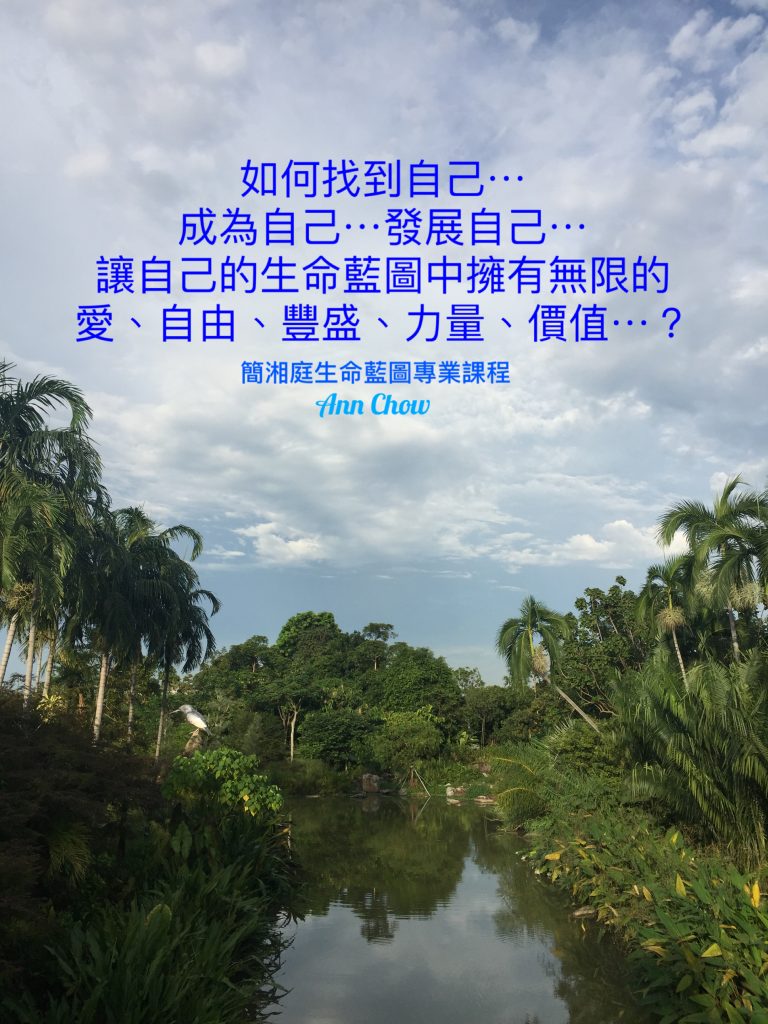 生命藍圖