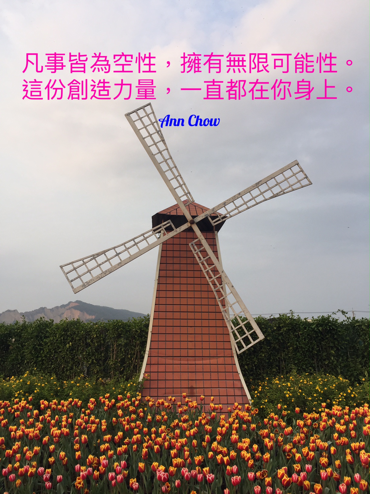 關於專業課程的問與答