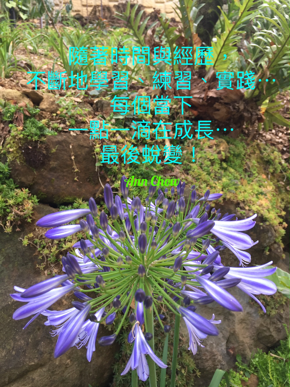 生命藍圖的分享, 療癒Ann Chow, Pancy So, 新時代通道中心, 療癒, 簡湘庭生命藍圖, 賽斯資料~「個人實相本質」, 身心靈