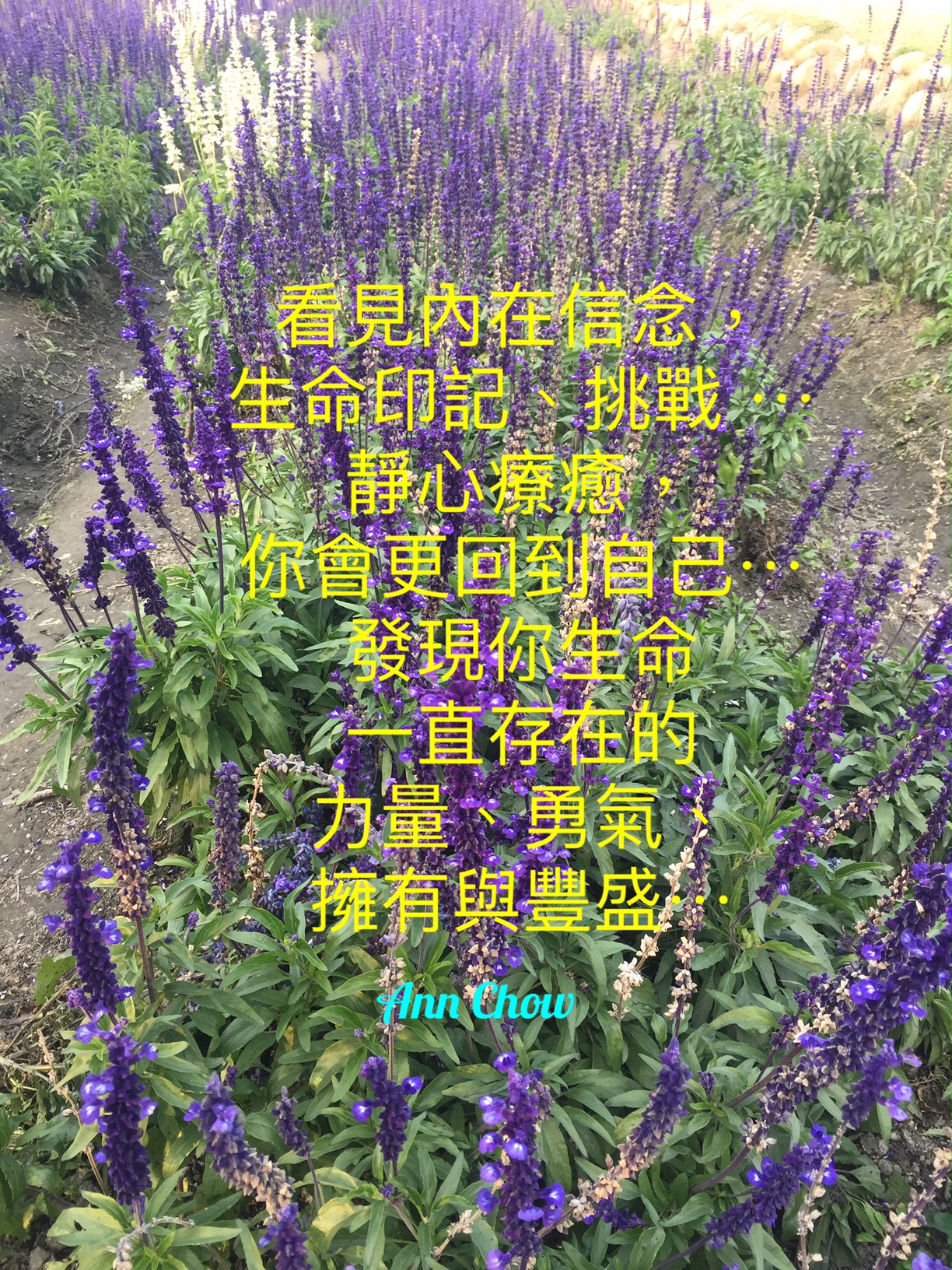 生命藍圖的分享, 療癒Ann Chow, Pancy So, 新時代通道中心, 療癒, 簡湘庭生命藍圖, 賽斯資料~「個人實相本質」, 身心靈