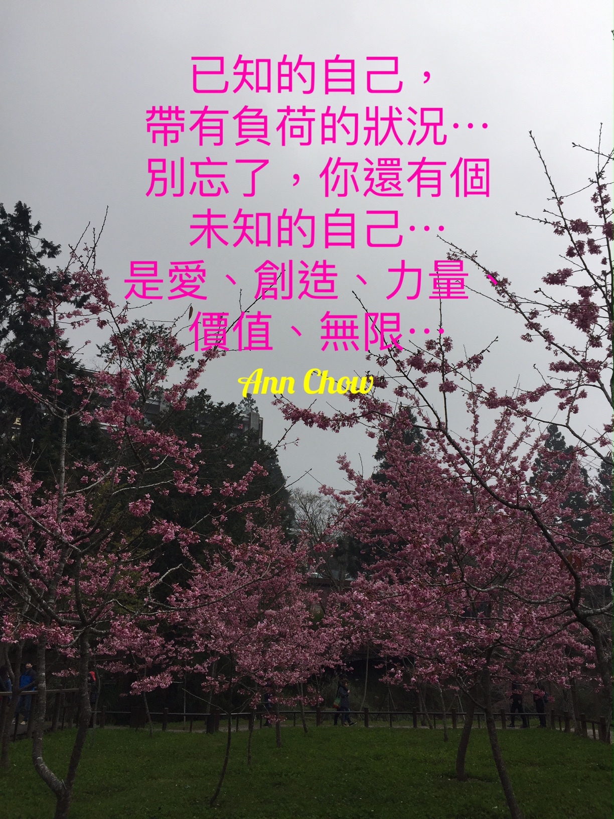 生命藍圖的分享, 療癒Ann Chow, Pancy So, 新時代通道中心, 療癒, 簡湘庭生命藍圖, 賽斯資料~「個人實相本質」, 身心靈