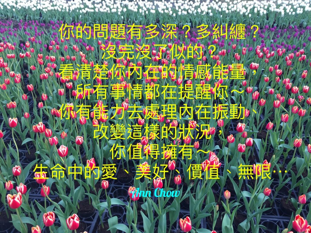 生命藍圖的分享, 療癒Ann Chow, Pancy So, 新時代通道中心, 療癒, 簡湘庭生命藍圖, 賽斯資料~「個人實相本質」, 身心靈