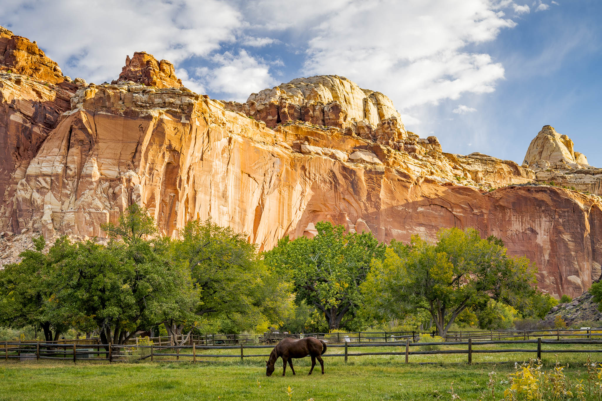 Fruita Historical District