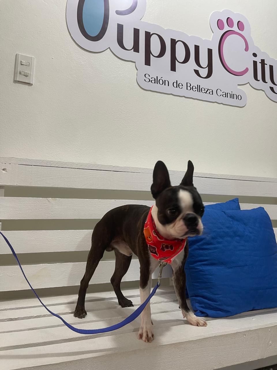 Cliente satisfecho 10