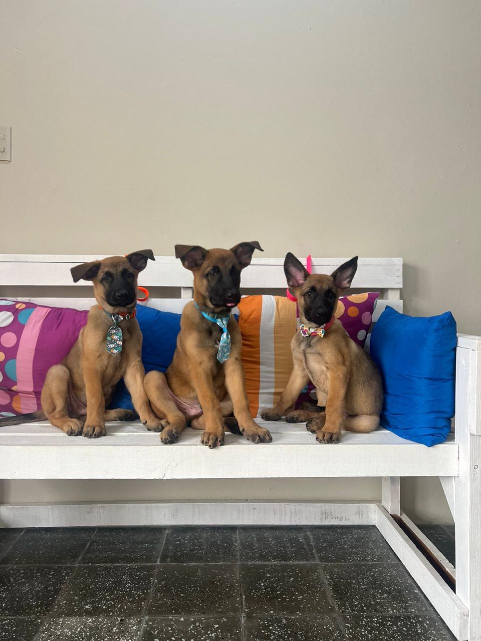 Cliente satisfecho 5