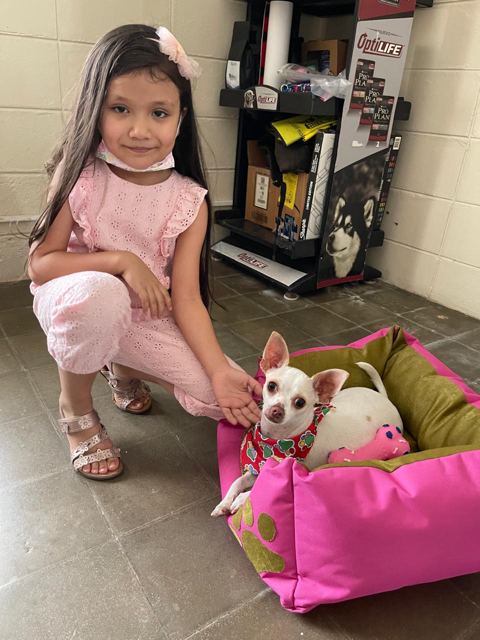 Cliente satisfecho 10