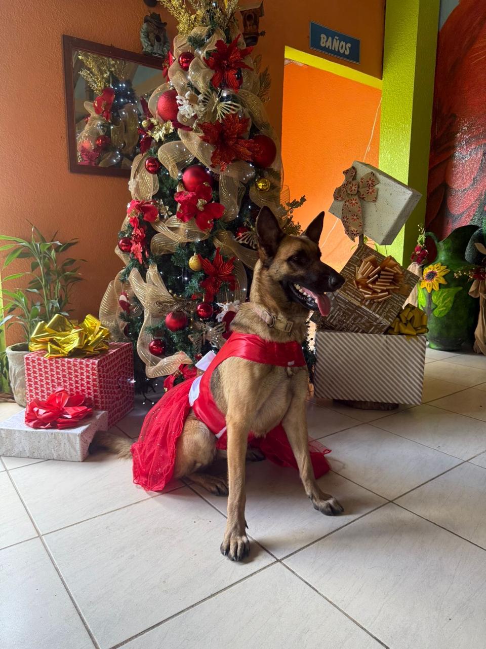 Cliente satisfecho 2