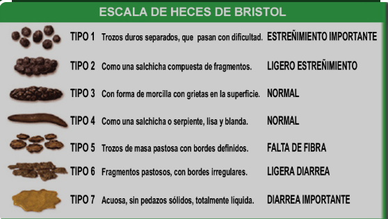 escala de Bristol escala de Bristol