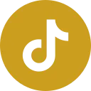 Tiktok Icon