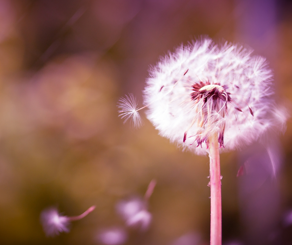 find freedom by letting go of past hurts find freedom by letting go of past hurts