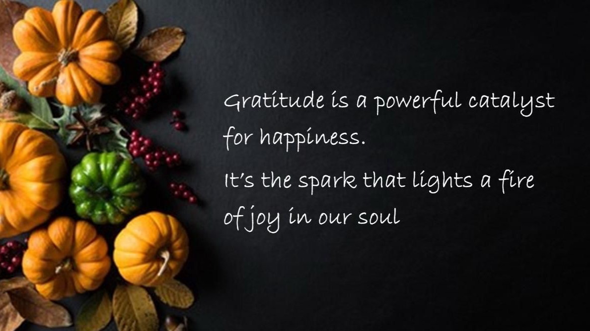 The Gift of Gratitude: Celebrating Who We Are and How We Show Up