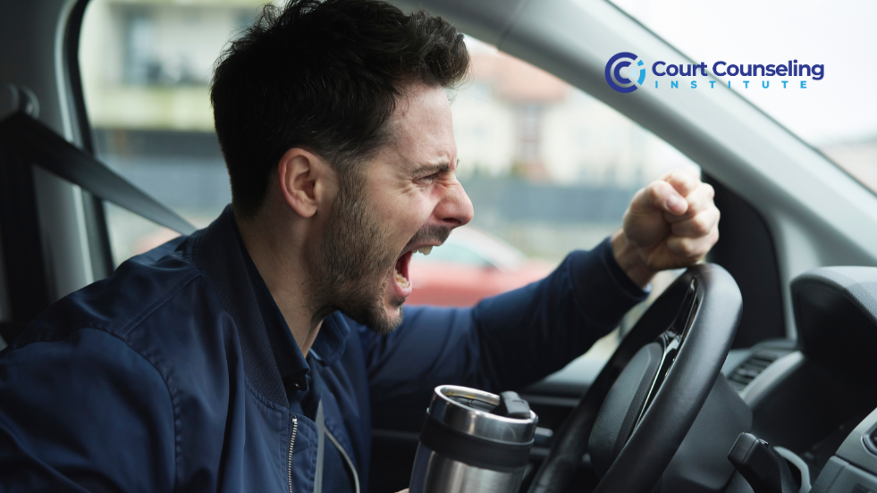 Regaining safe driving habits begins behind the wheel with DUI and road rage education.