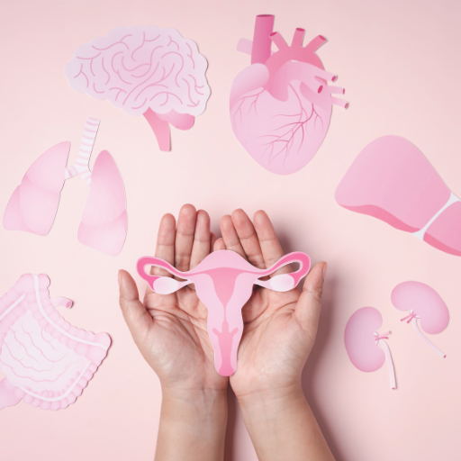 Hands holding a cutout of a uterus Hands holding a cutout of a uterus