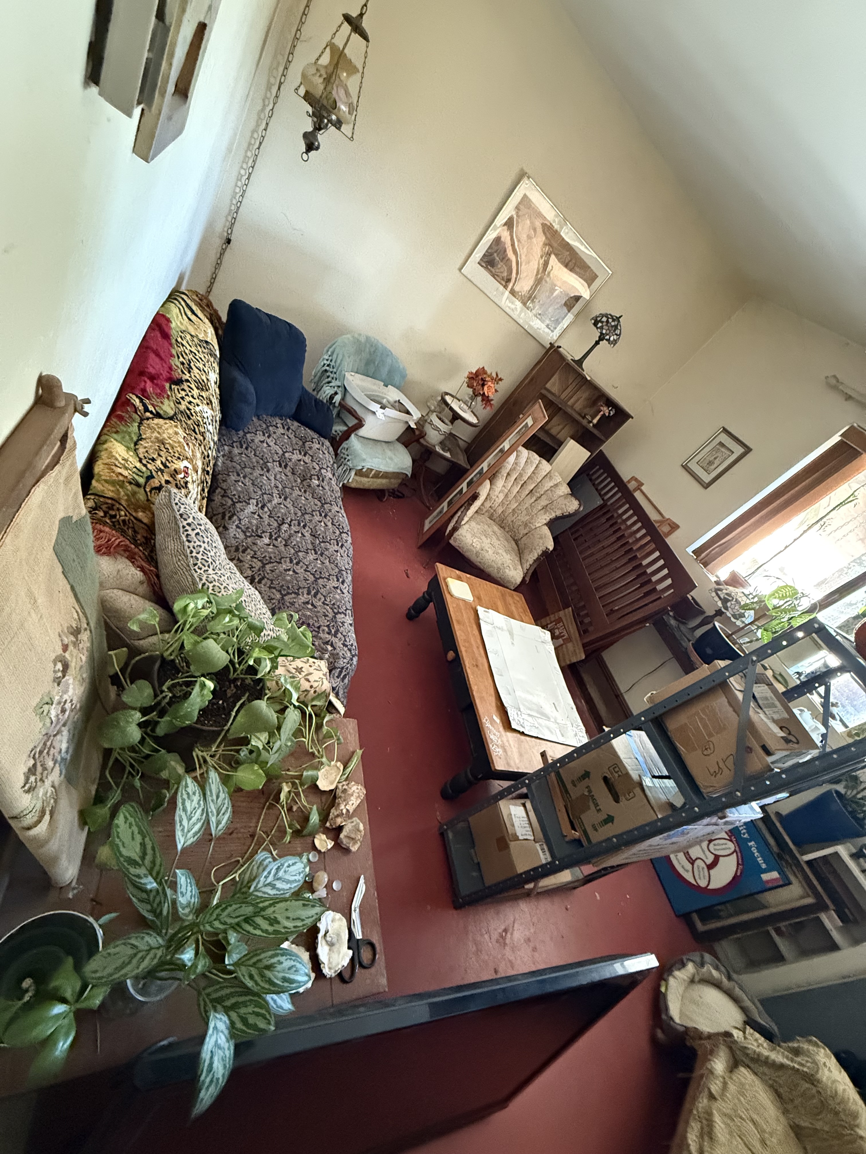 Estate Clean Out
