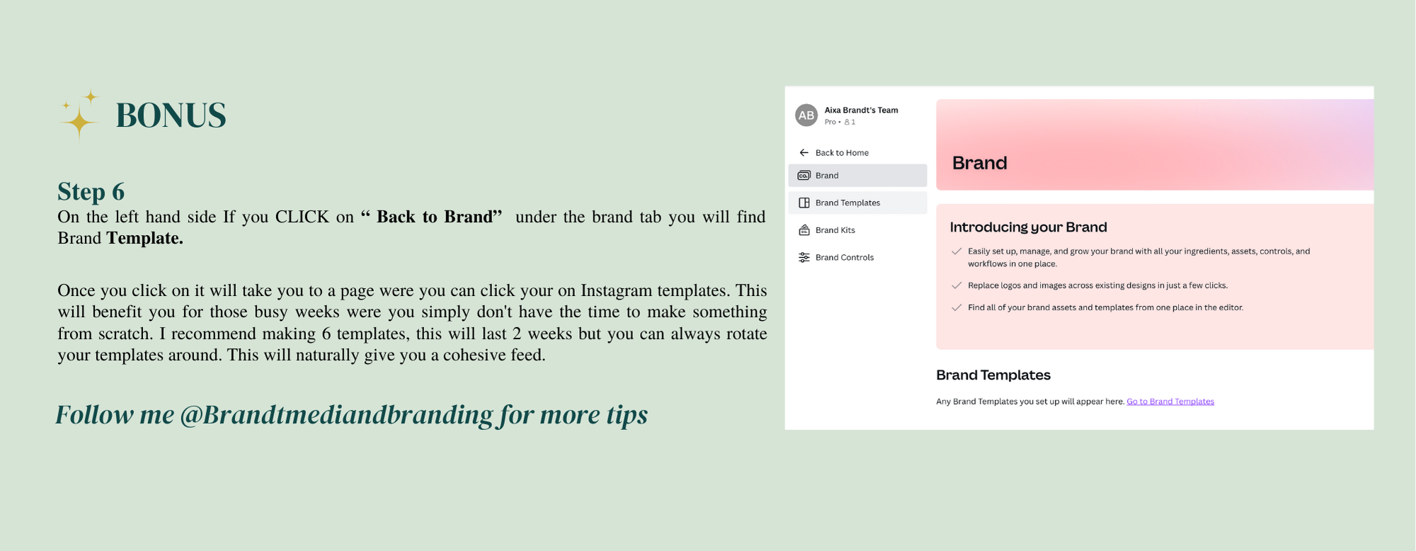 Image for Bonus Tip: Creating Content on Canva