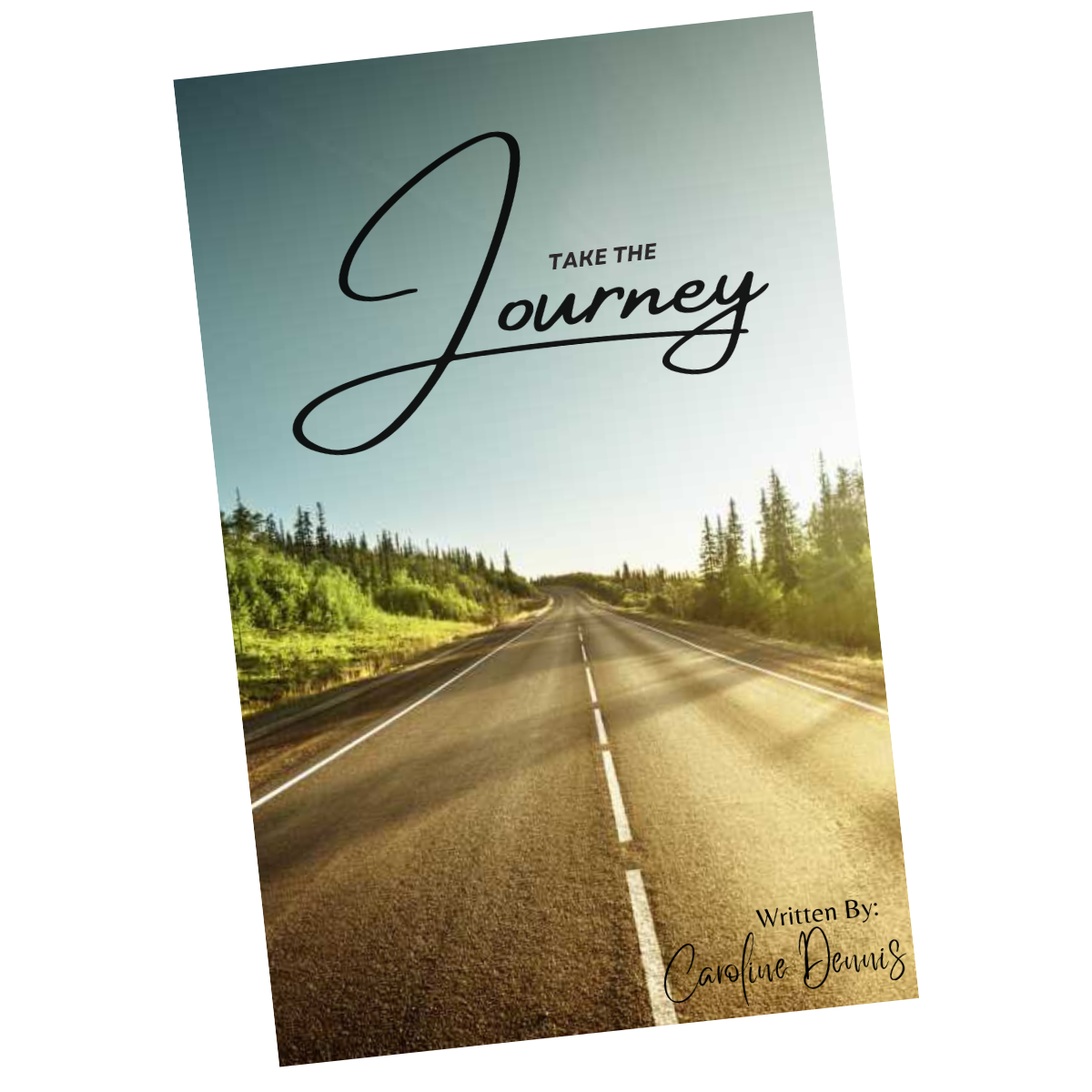 Image of Take the Journey: The Powerful Steps to Owning Your Story