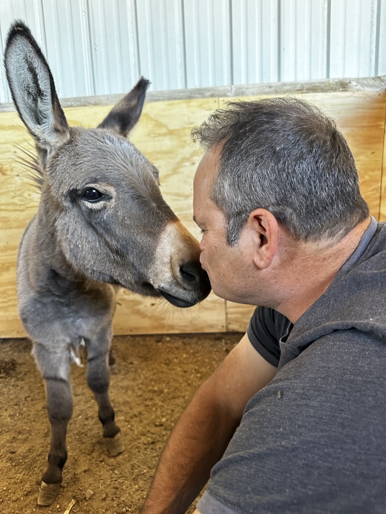 Waffles sharing some love with Ken at WeeShire Mains. Waffles sharing some love with Ken at WeeShire Mains.