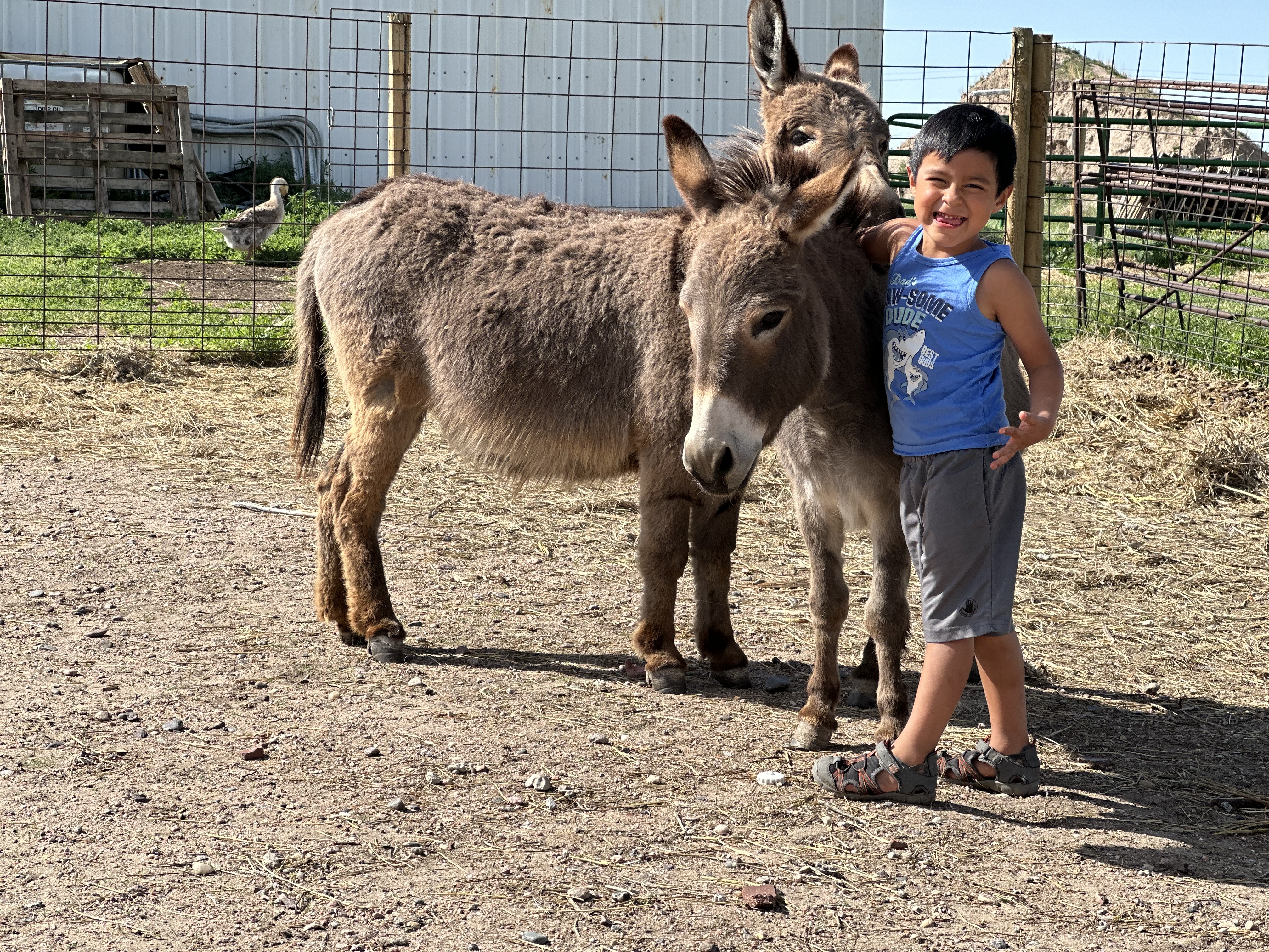 The heart of our mission: Zaedyn and Waffles sharing a quiet moment of connection at the Shire." The heart of our mission: Zaedyn and Waffles sharing a quiet moment of connection at the Shire."