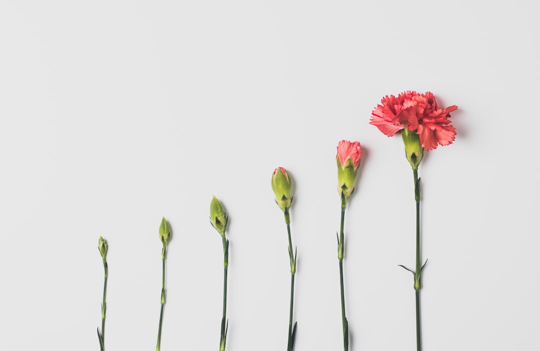  Investing in Your Business for Solo Estheticians