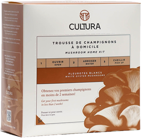 Vue détaillée des instructions inscrites sur la boîte de la trousse de culture de champignons CulturaShop, guide précis pour une culture de champignons réussie à domicile au Québec.