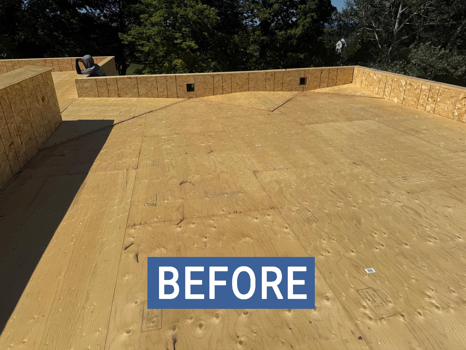 Before — Muskoka Flat Roof