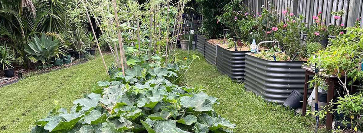 Gardening with Biochar Gardening with Biochar