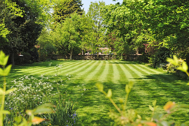 Lush green lawn treated with grass booster and regenerative soil care. Lush green lawn treated with grass booster and regenerative soil care.