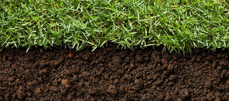 Biochar soil structure improving grass growth and water retention Biochar soil structure improving grass growth and water retention