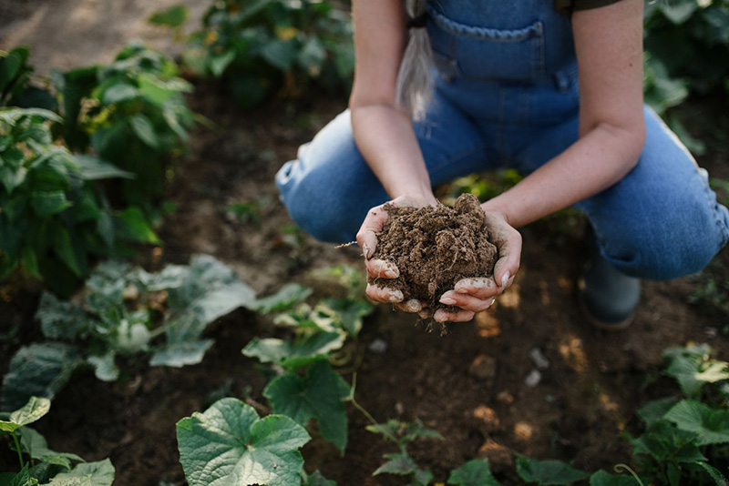 Think of biochar as a protective blanket for your soil Think of biochar as a protective blanket for your soil